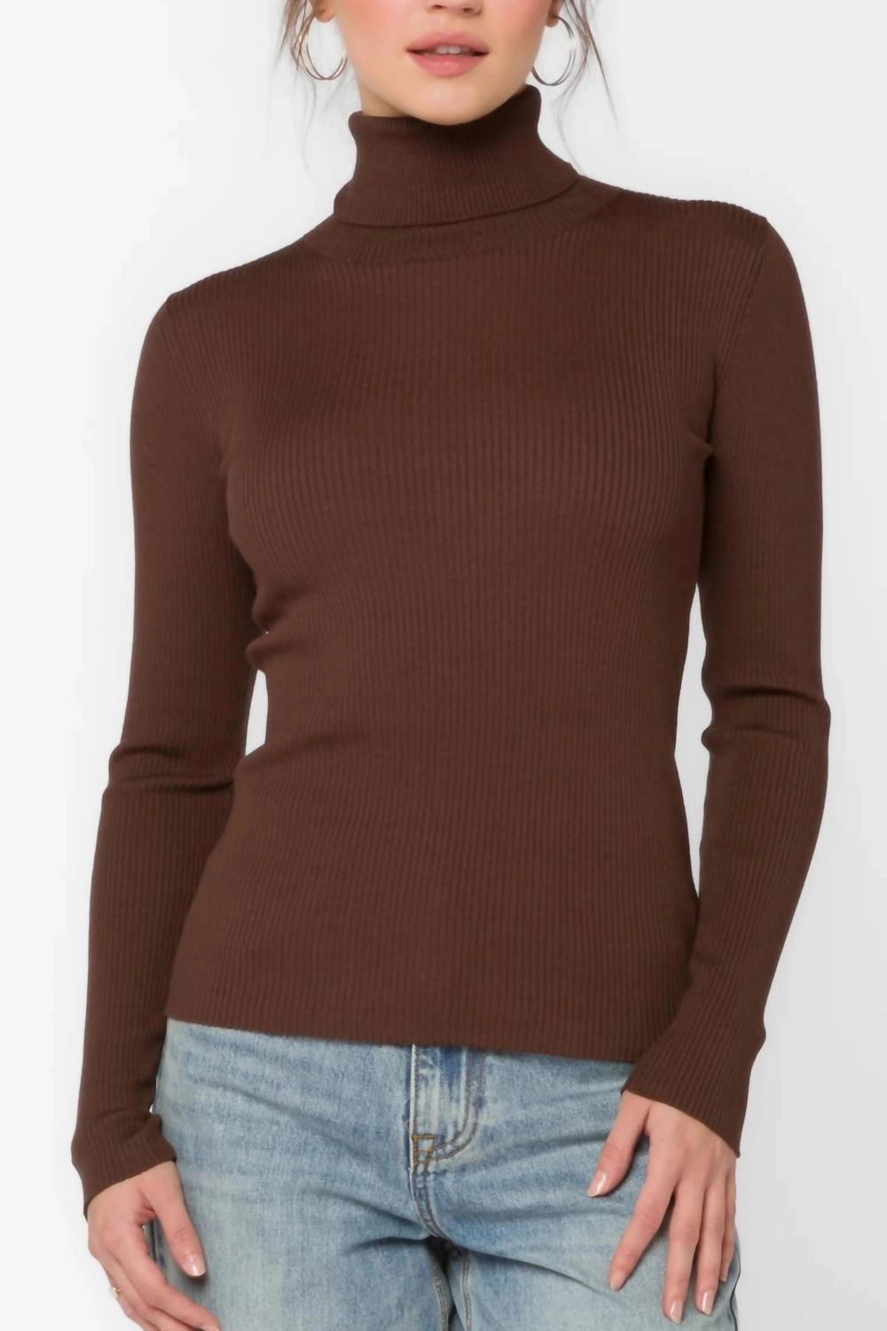Cozy All-Day Cindy Ribbed Turtleneck In Java Brown