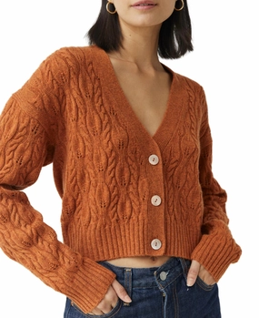 Ergonomic Sleeve Shape Cropped Cable V-Neck Cardigan In Spice