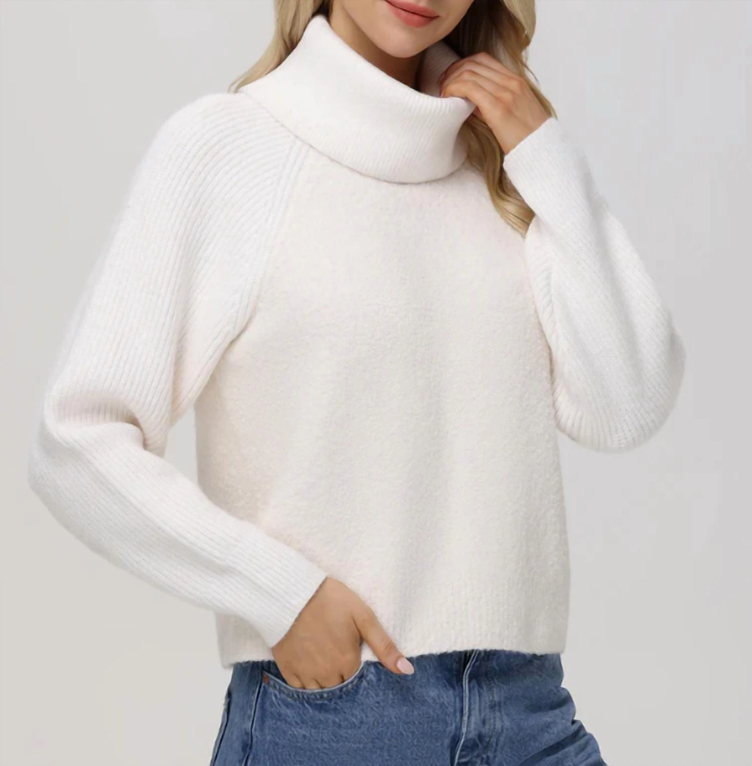 Fashionable Comfort Mckenzie Mixed Media Removeable Collar Sweater In Sea Salt