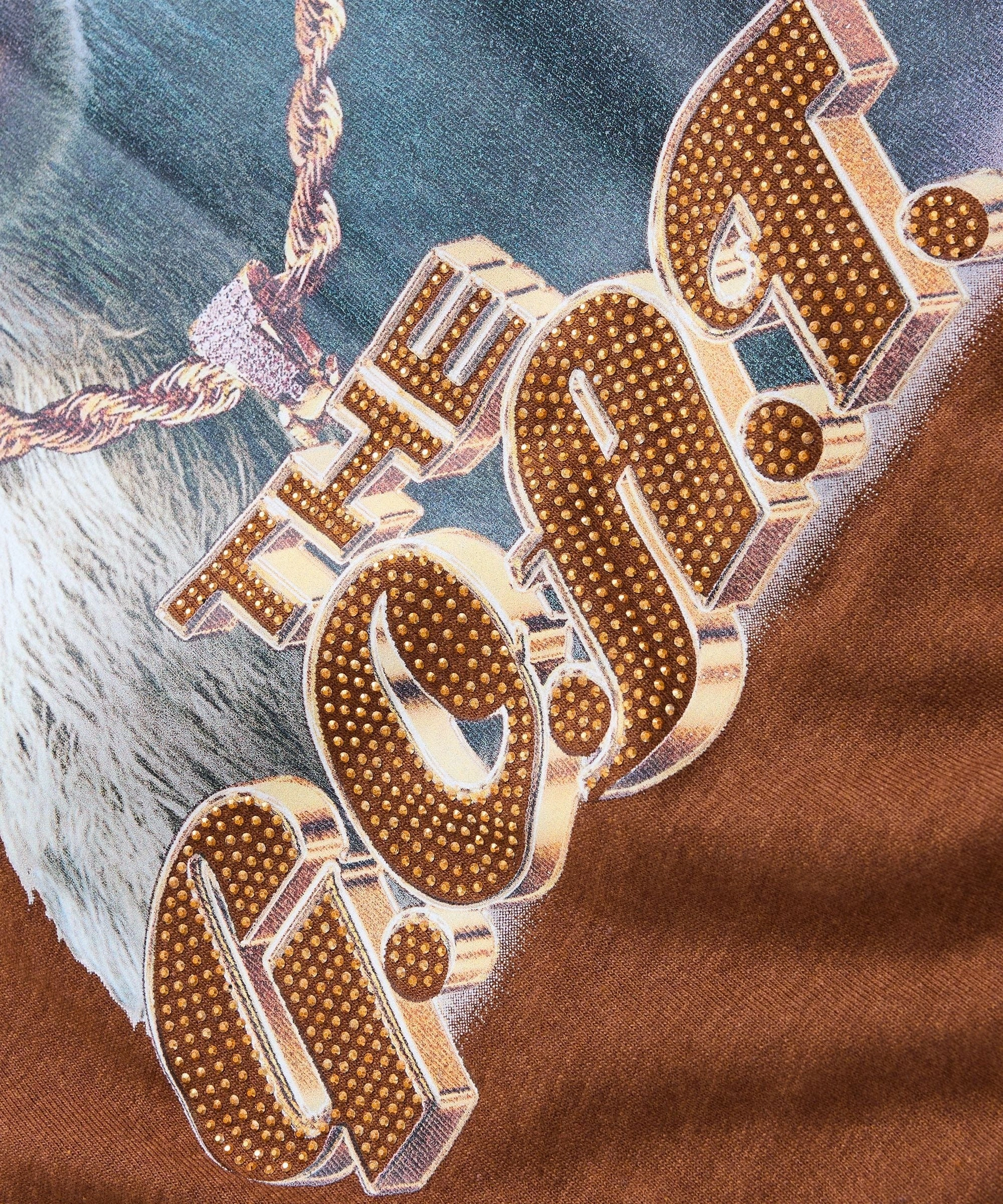 FrictionResistant Fabric RecycledPolyester Goat Rhinestone Short Sleeve Tee - Brown