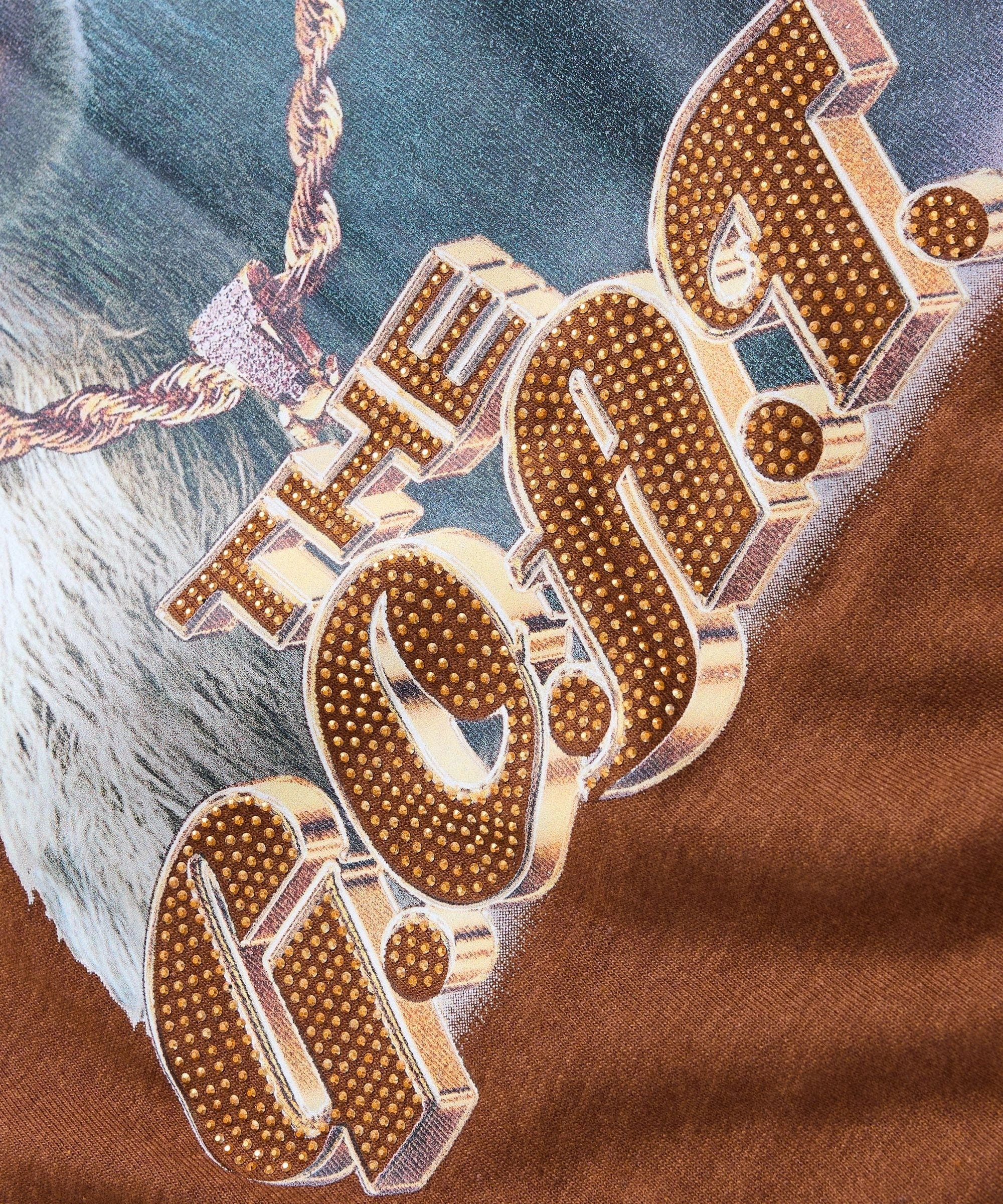 UVProtection RawEdgedDesign Goat Rhinestone Short Sleeve Tee - Brown