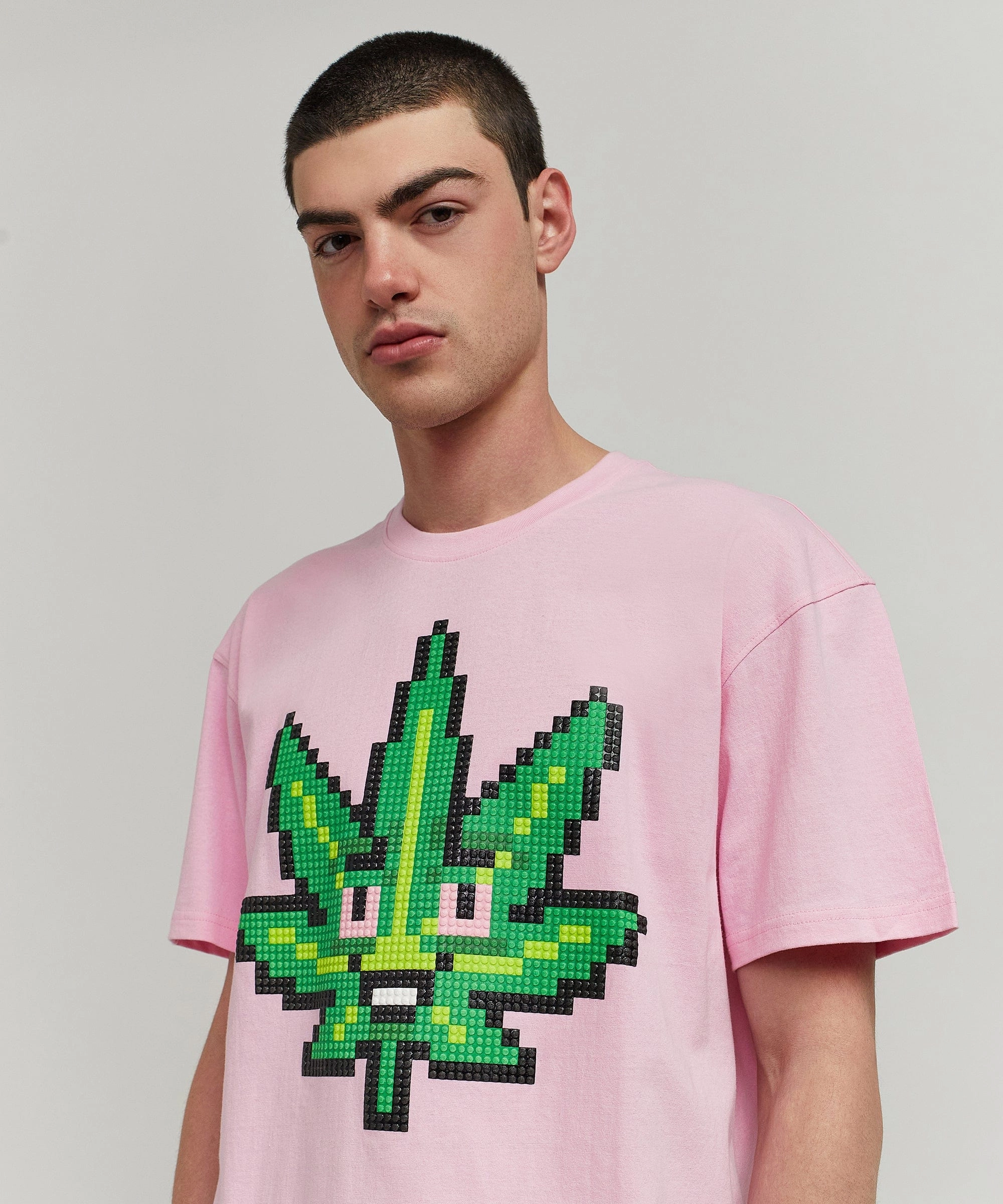 Pixel Leaf Short Sleeve Tee - Pink RaglanSleeve Fitted Blouse