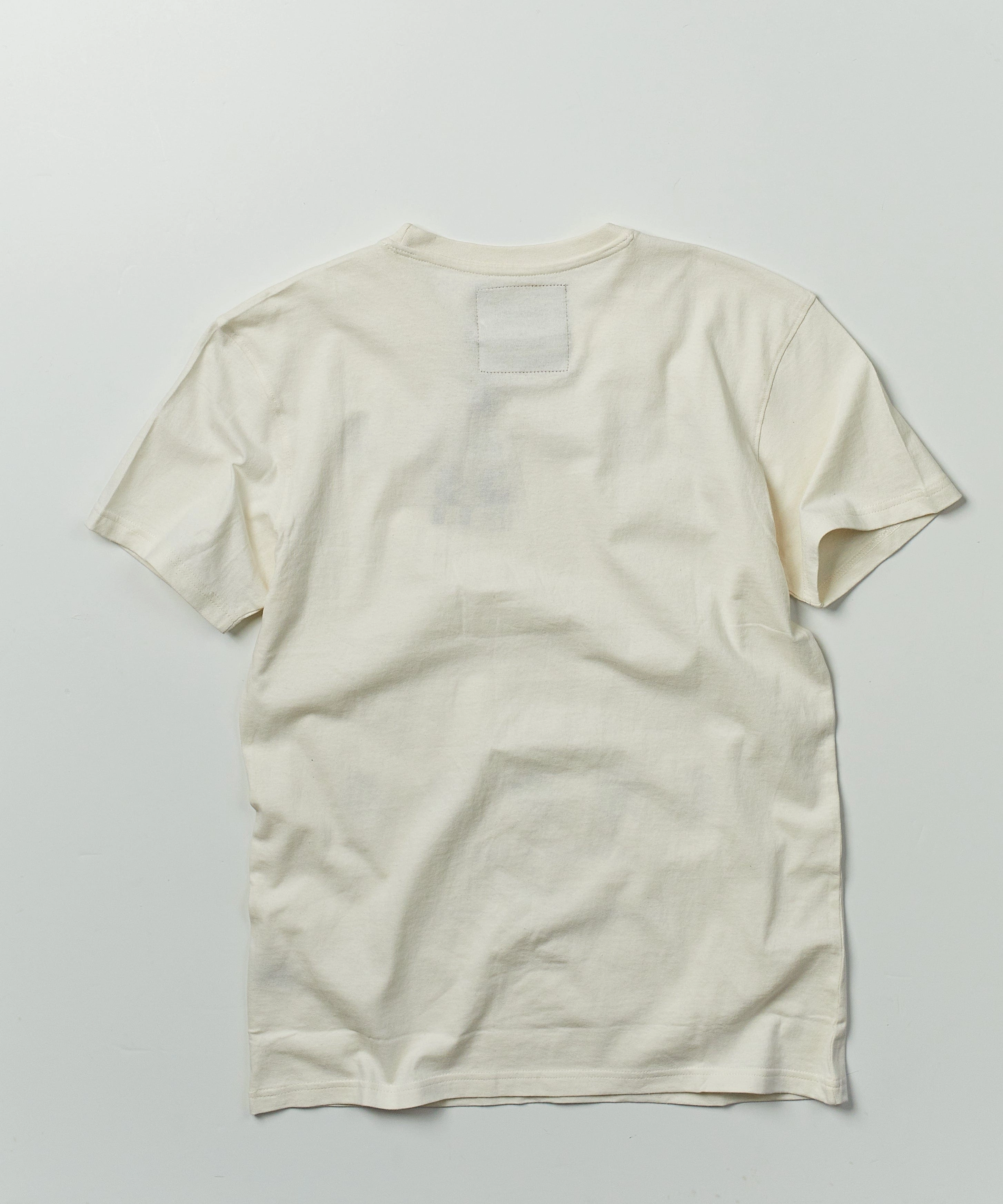 Plus Size Cheech & Chong Photo Short Sleeve Tee - Cream HighDensityFoam LightweightTexture