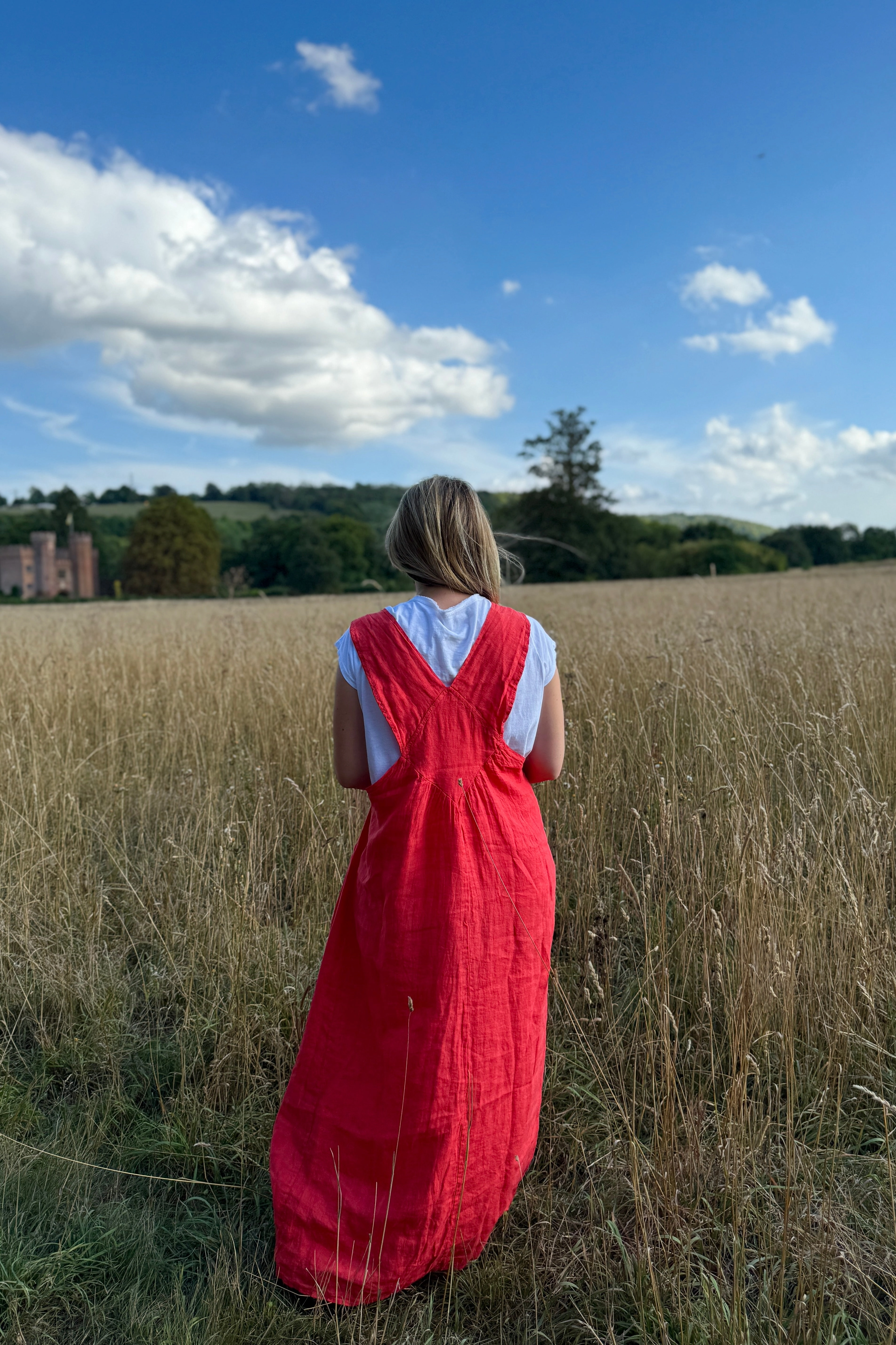 Sophia Linen Dress Modern Style