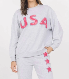 Warm Comfort Snuggle Comfort Usa Crew Sweatshirt In Grey