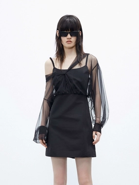 Tulle Details Mini Dress Influencer-Approved Eye Catching