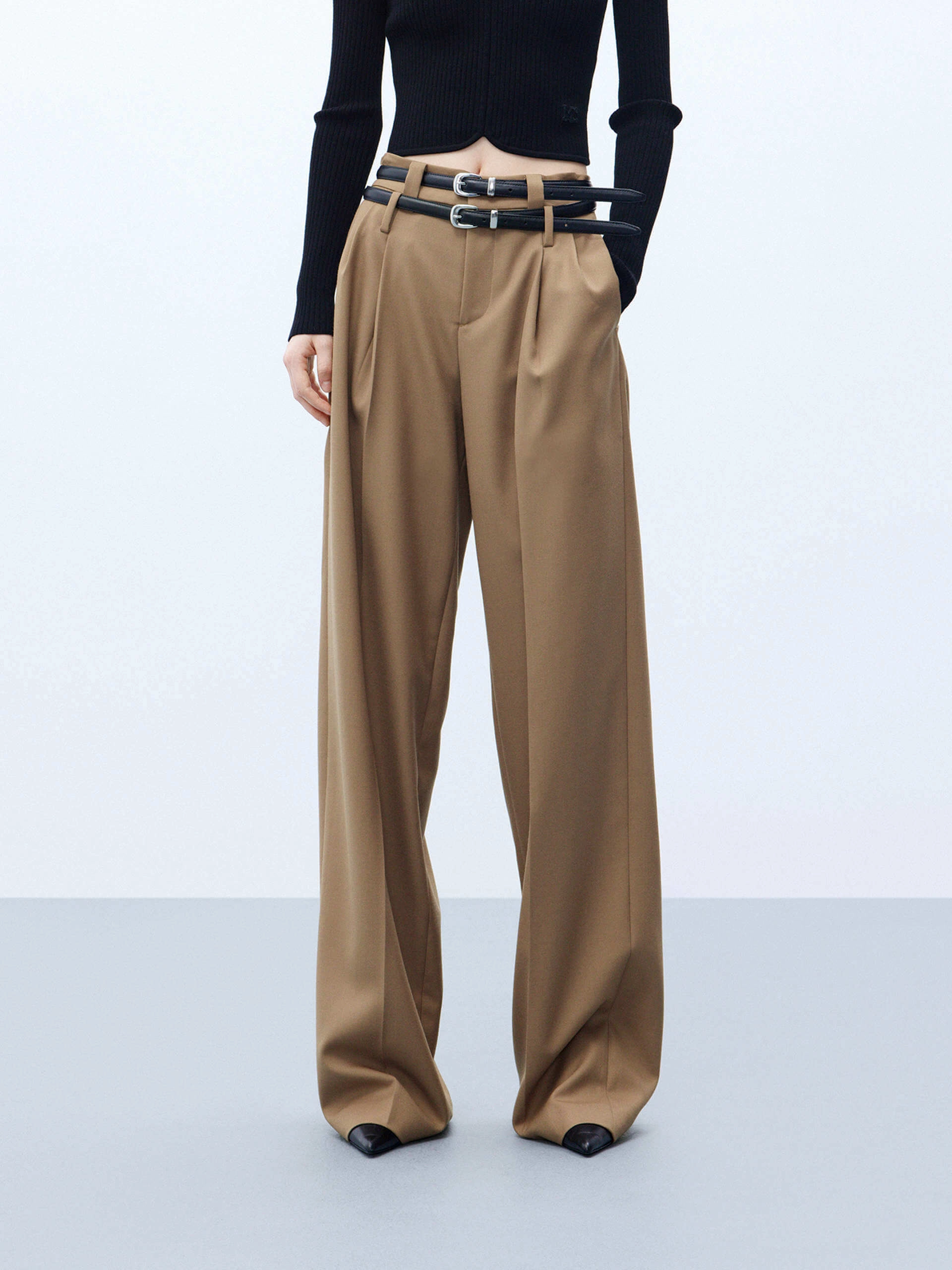 Wool Blend Pleated Pants Everyday Ease Tagless label